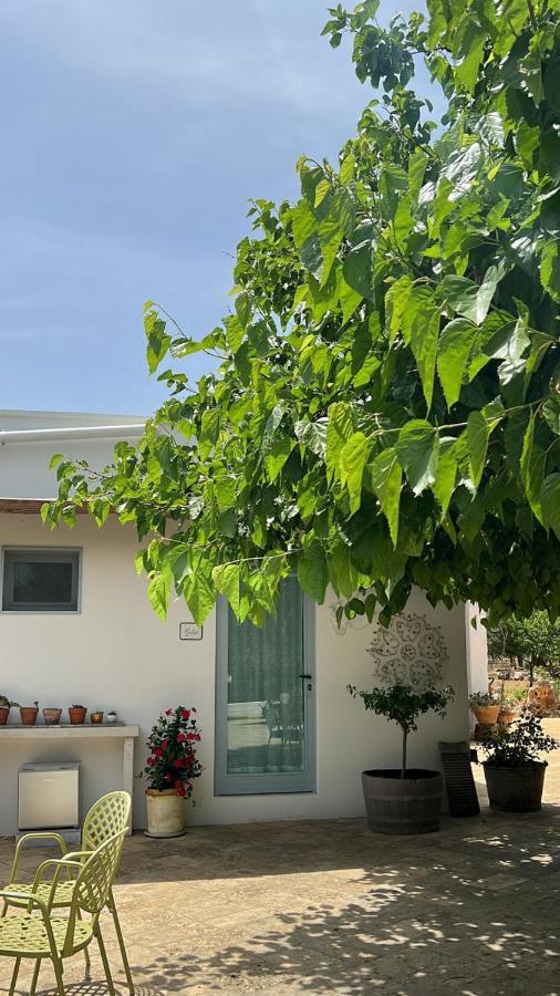 Trullo Santangelo Bed and Breakfast Ceglie Messapica Εξωτερικό φωτογραφία